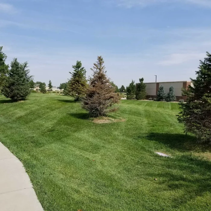 Commercial Lawn Mowing Services Denver, CO