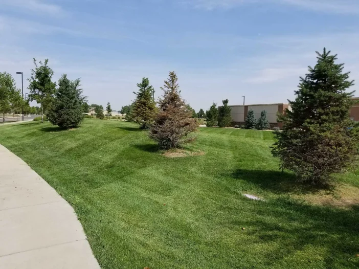 Commercial Lawn Mowing Services Denver, CO