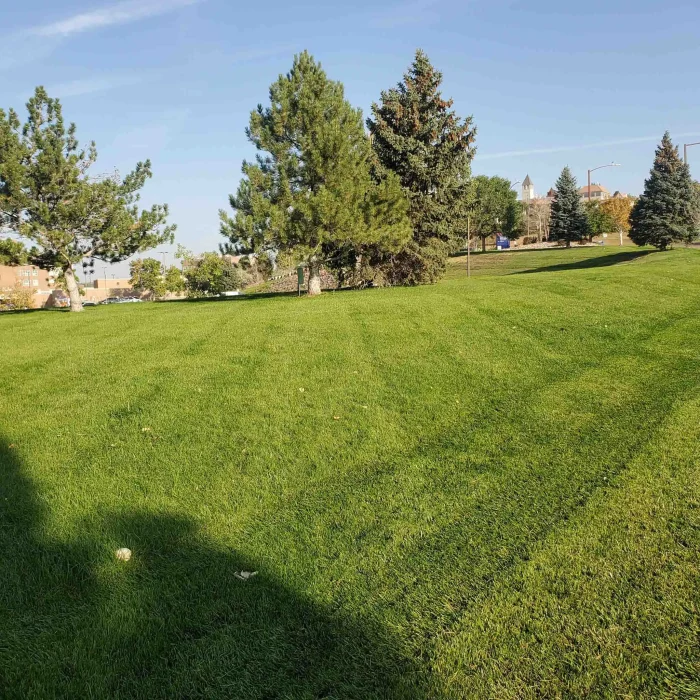 Commercial Lawn Mowing Services Denver, CO