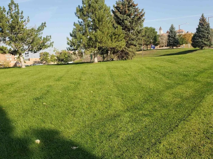 Commercial Lawn Mowing Services Denver, CO