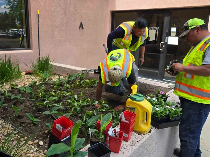 Denver, CO Commercial Landscape Maintenance