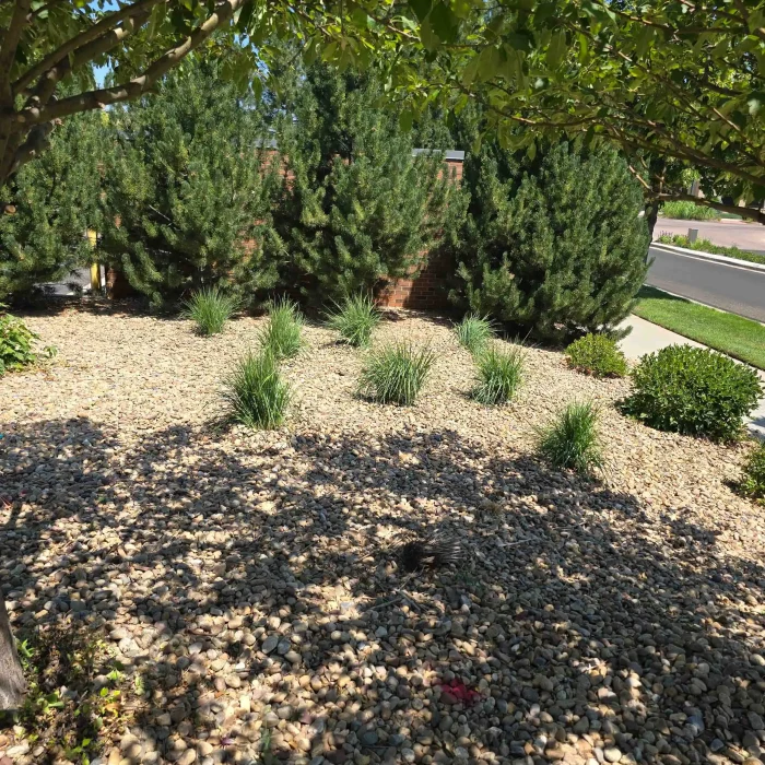 Denver, CO Sustainable Landscaping