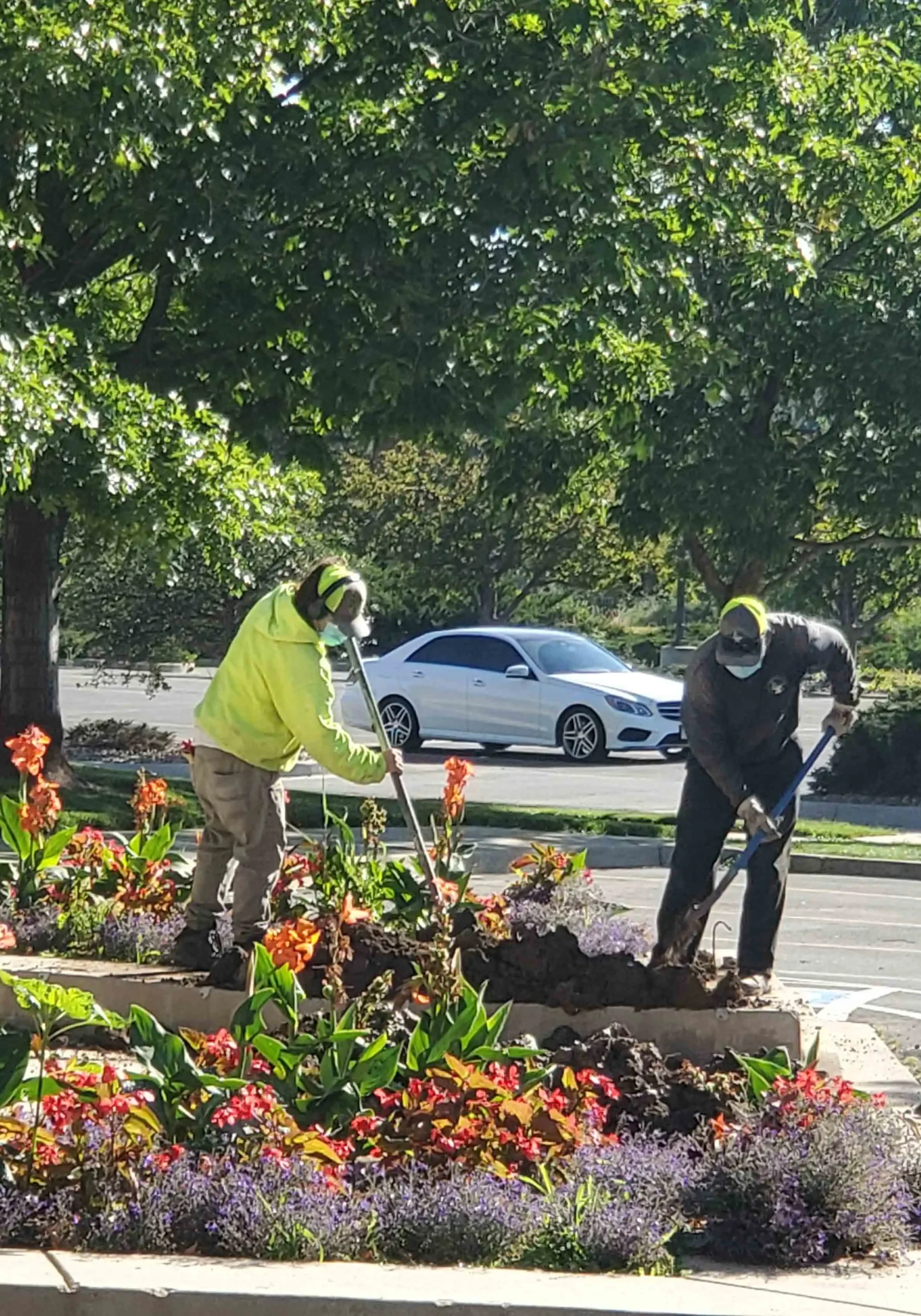 Denver, CO Commercial Landscape Maintenance