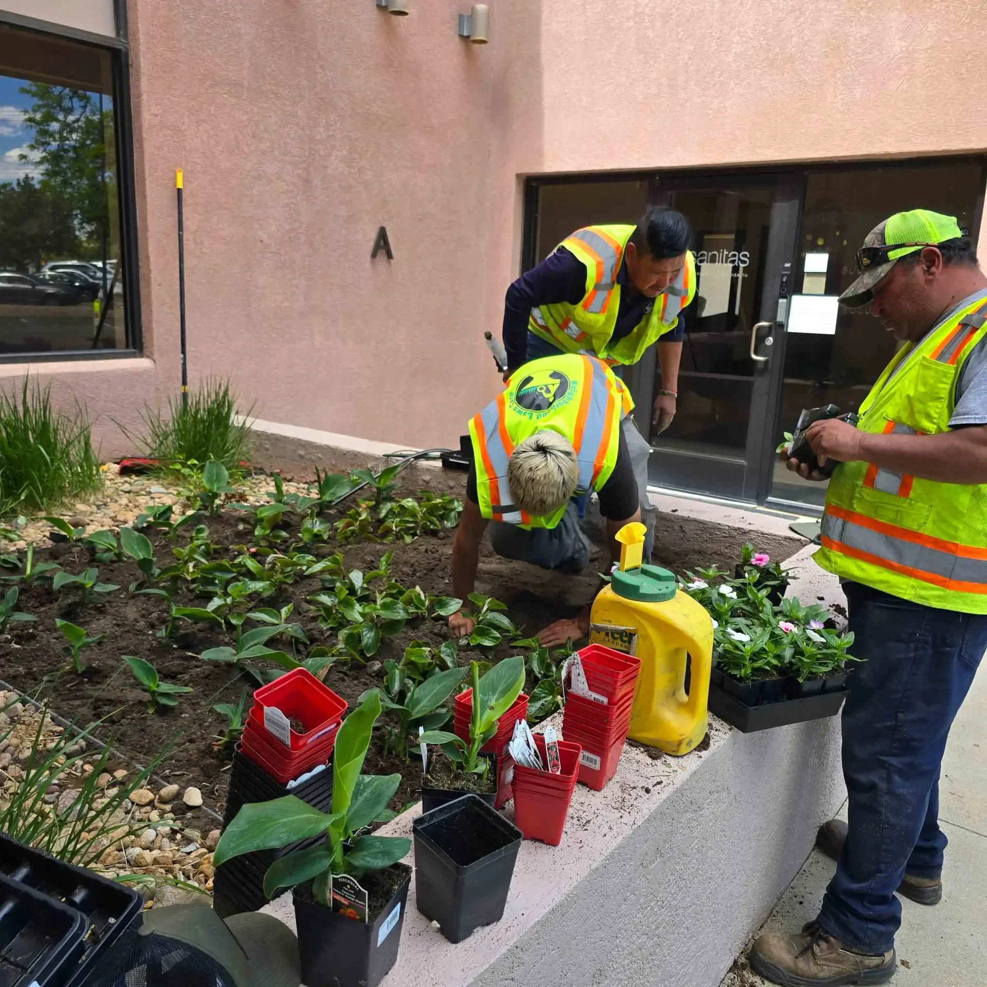 Copy of 20240517_143420 Denver, CO Commercial Landscape Maintenance