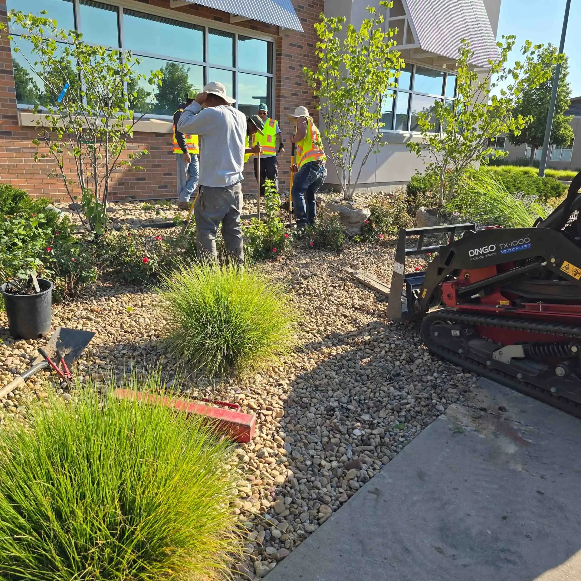 Copy of 20240712_083017 Denver, CO Commercial Landscaping Companies