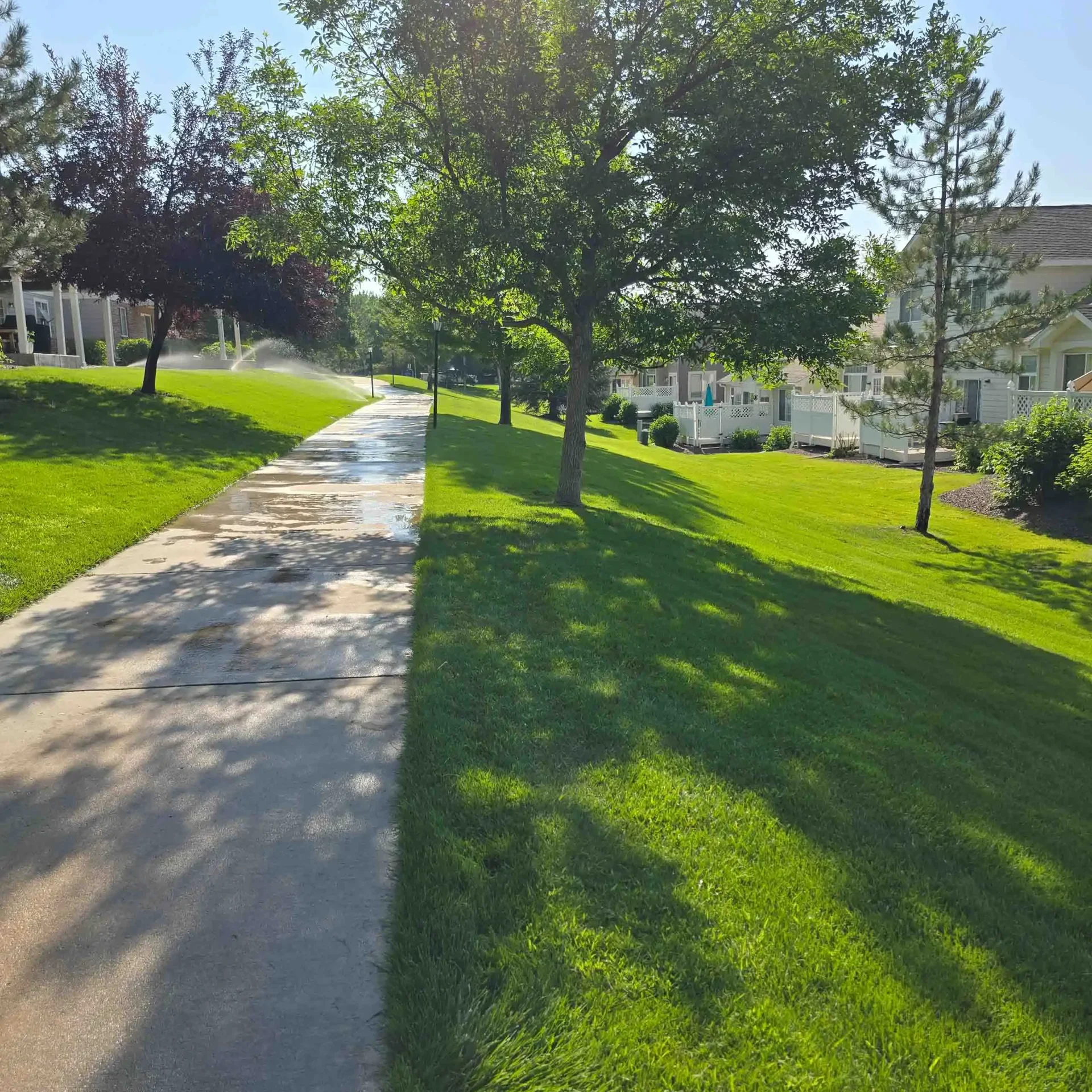 Copy of 20240731_090745 Commercial Lawn Mowing Services Denver, CO