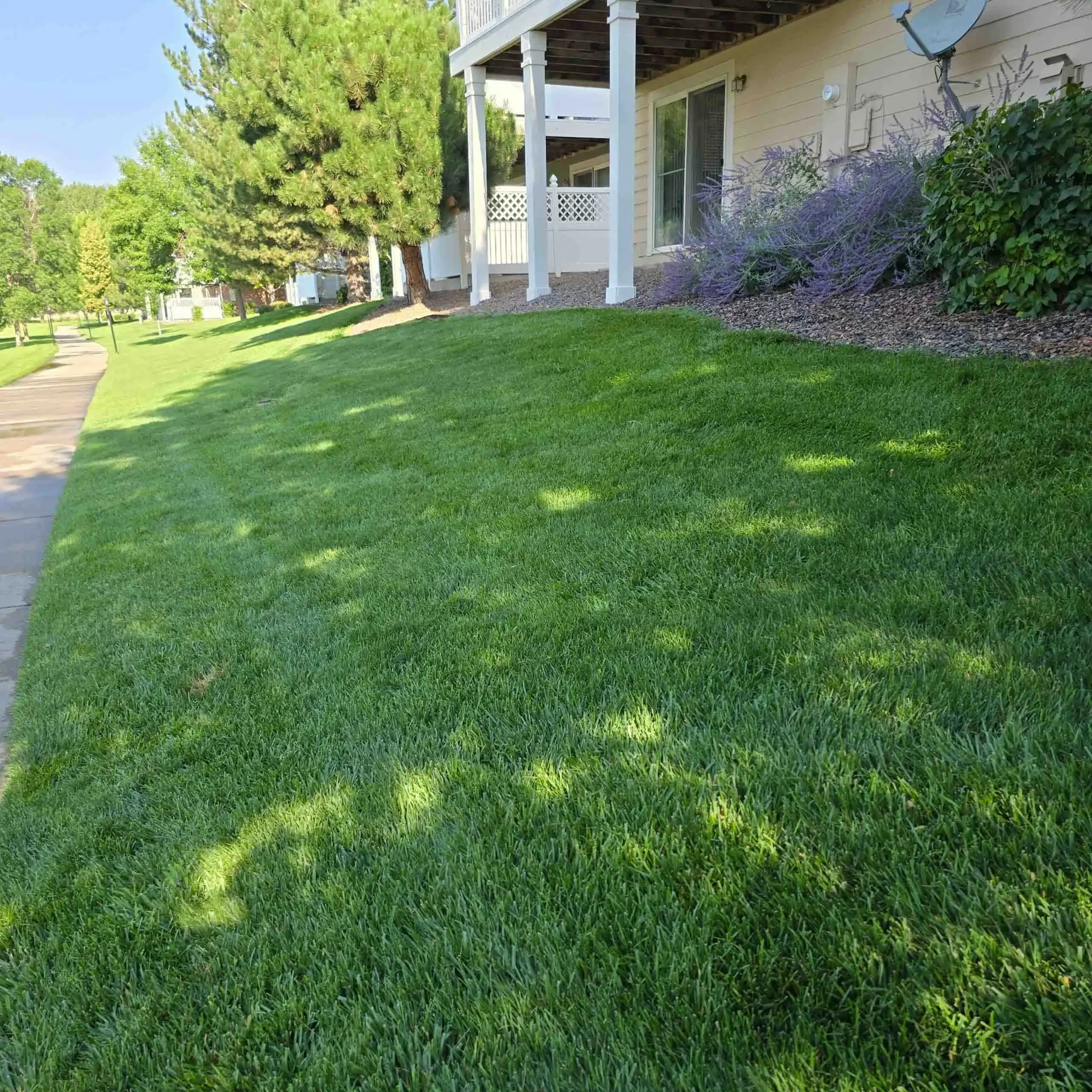 Copy of 20240731_090914 Commercial Lawn Mowing Services Denver, CO