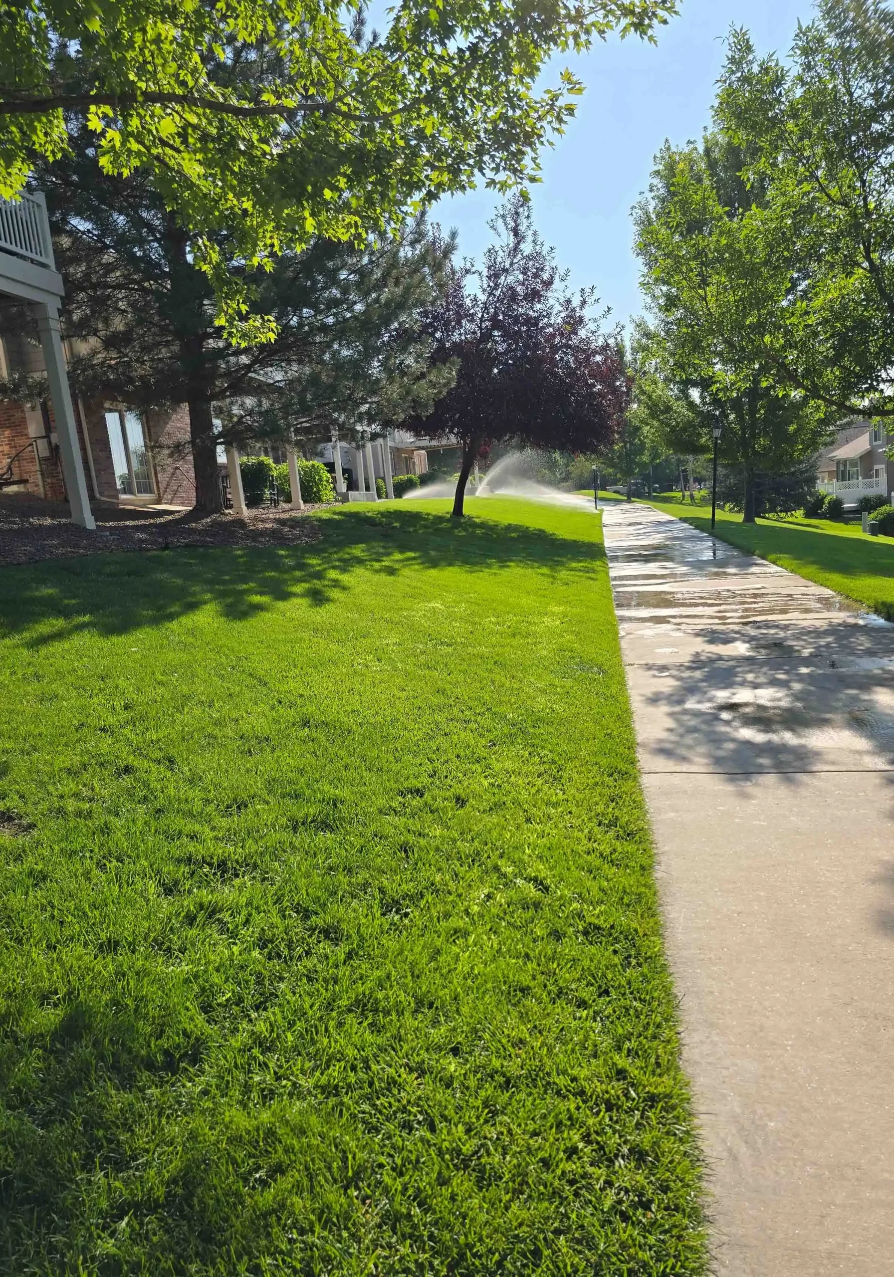 Commercial Lawn Mowing Services Denver, CO