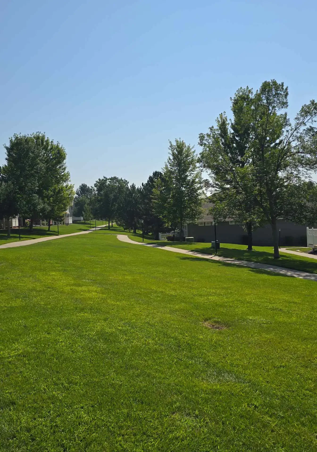 Copy of 20240801_102619 Commercial Lawn Mowing Services Denver, CO