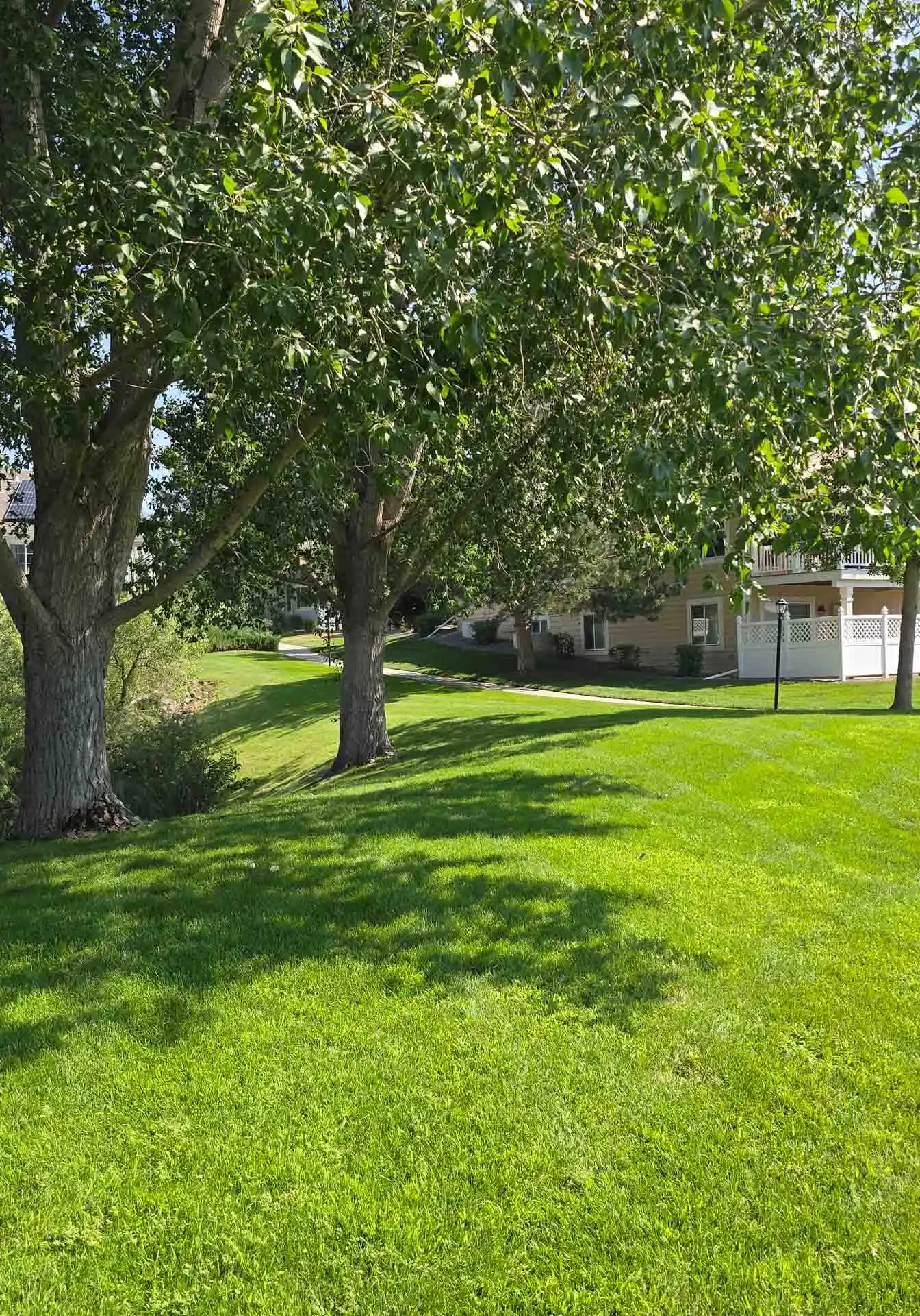 Copy of 20240801_102621 Commercial Lawn Mowing Services Denver, CO