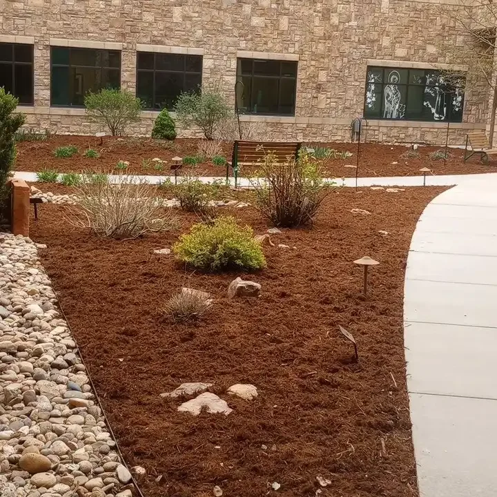 Copy of IMG_20240503_132141 Commercial Landscaping Services Denver, CO